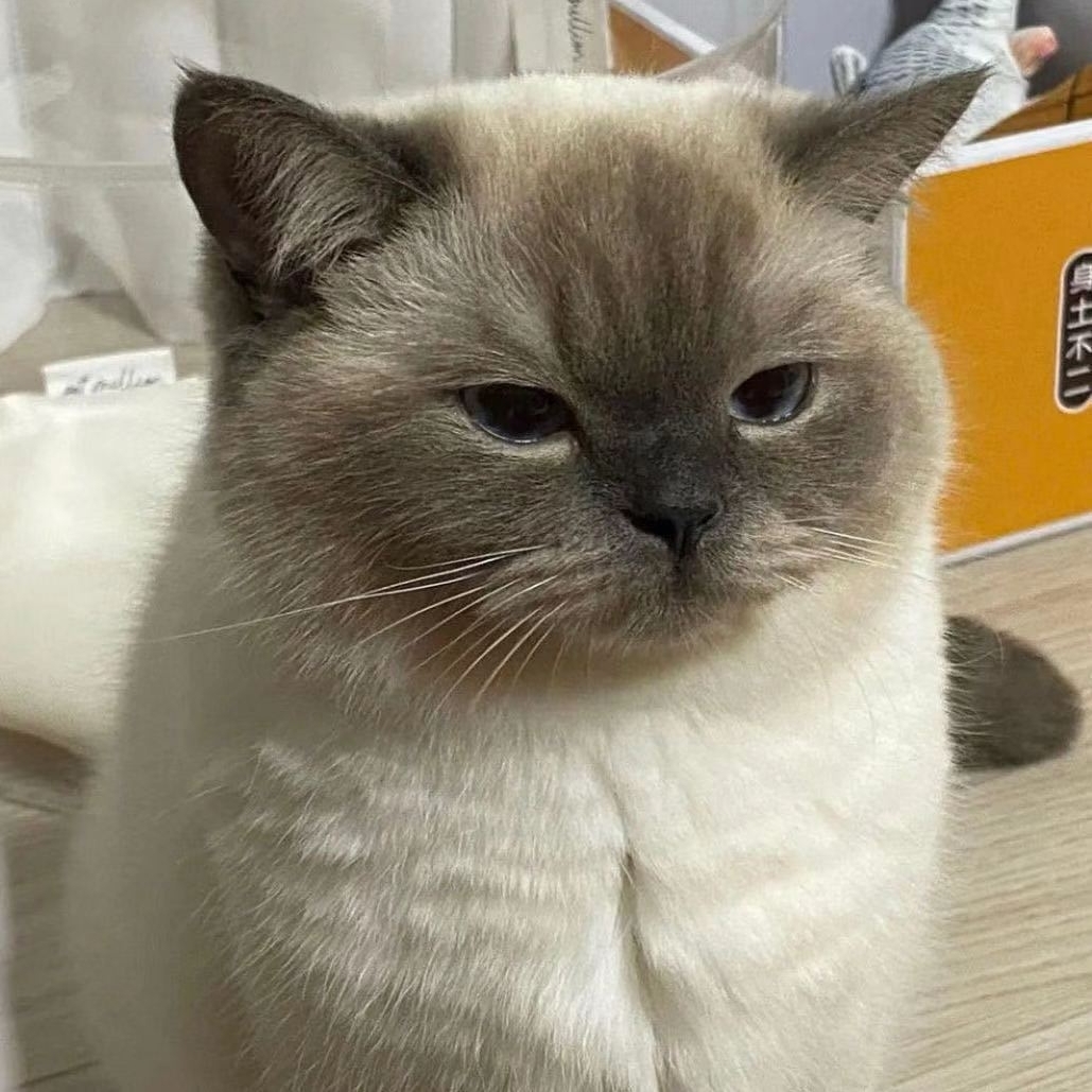 小傅小傅要快乐