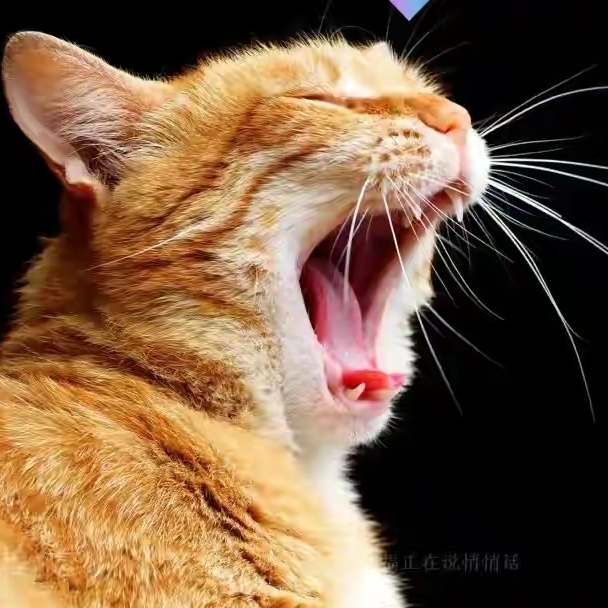 爱吃泡椒牛肉的唐三藏