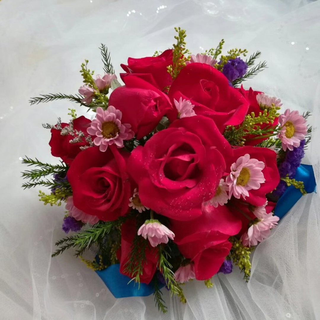 人见人爱的松木的宇