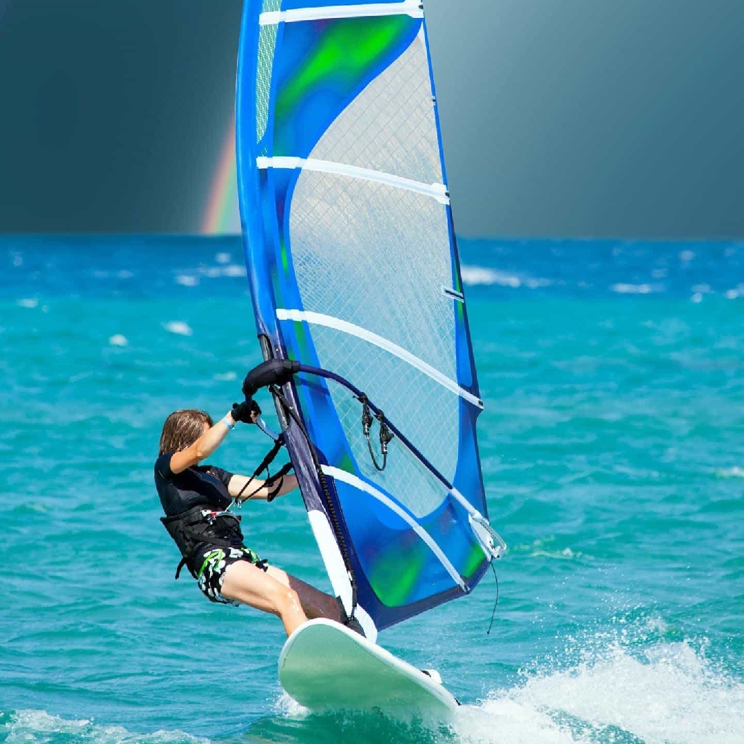 粉白色的立田锦