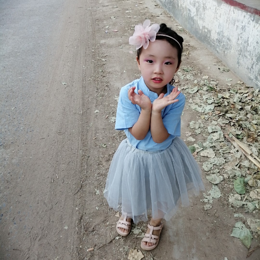 橙红色的花单一号