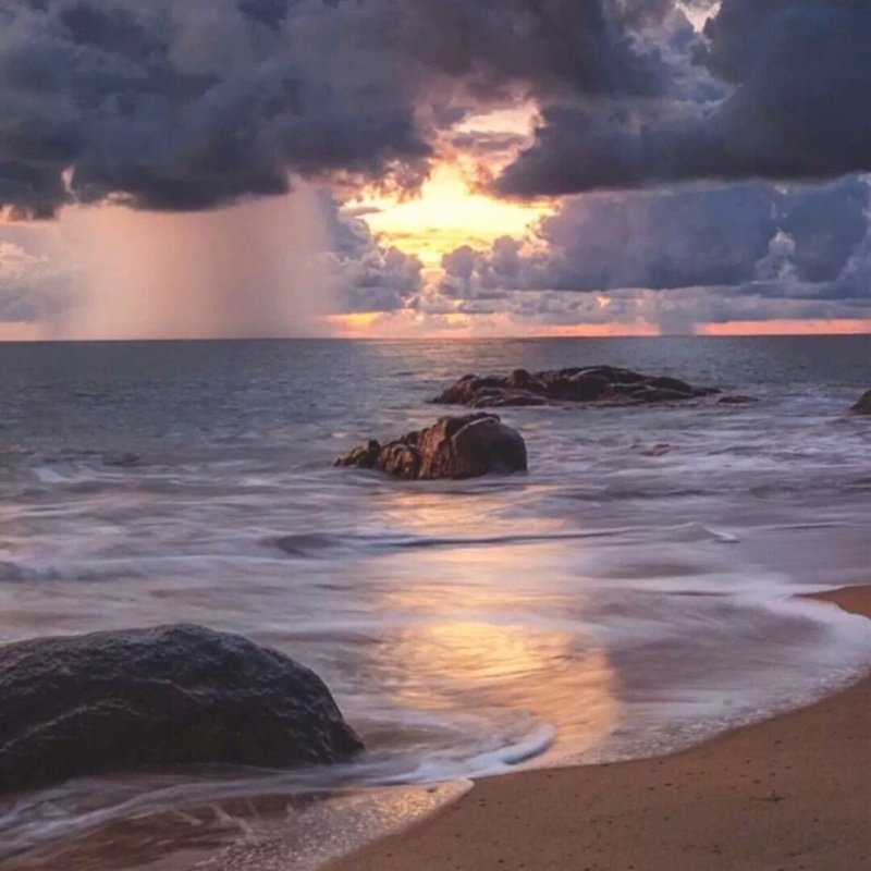 大大大大大猫龙