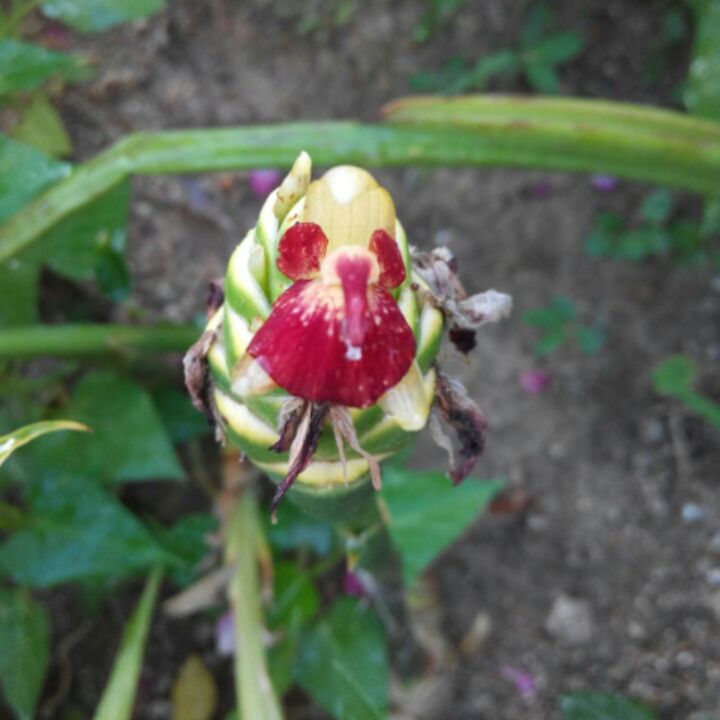 逸米阳光哈哈哈