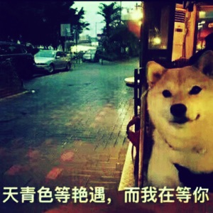 A阿平平平平平平平