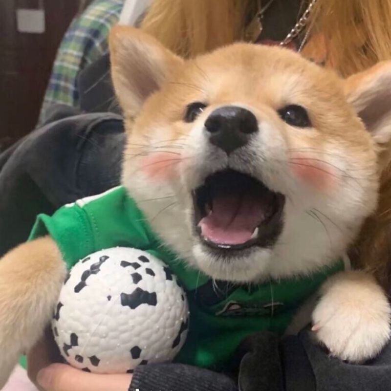 其实我并不想买……