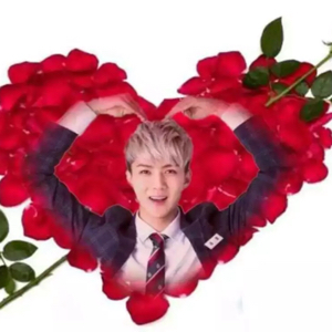 勋骑isMe┌吴太太┒