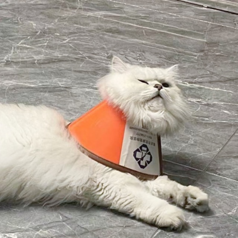 三花专用小马甲