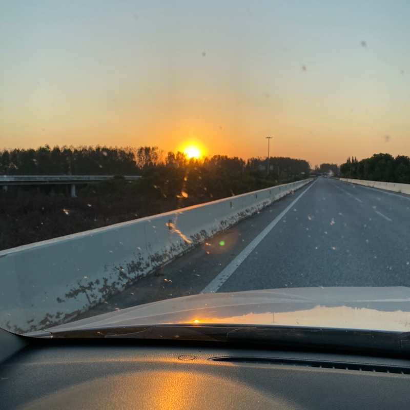 灰色的阴山乌头b8