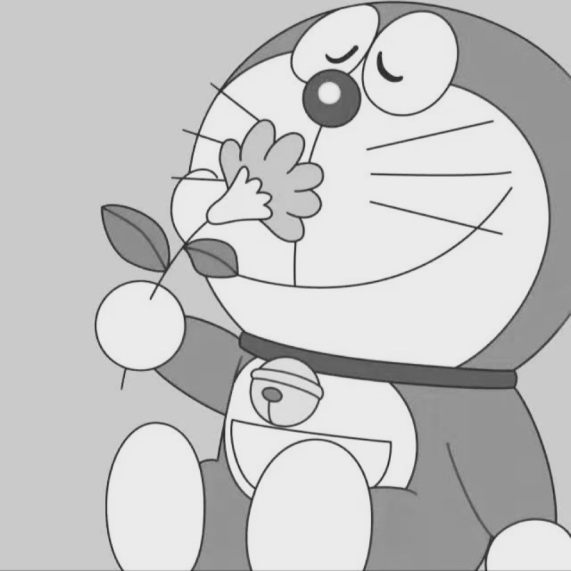 妮的微笑纯属礼貌