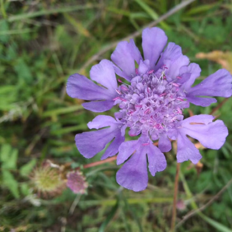 我淘，我时尚。