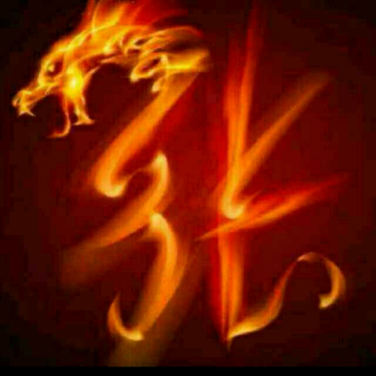 爱吃菜汤年糕的小小酥