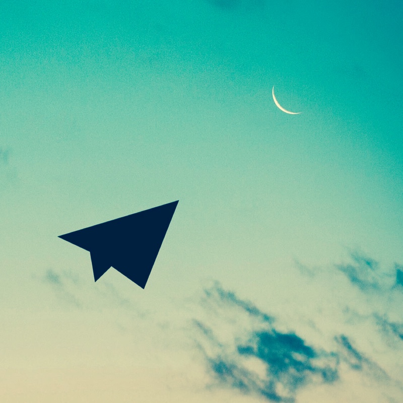 菲尔比会飞的小鸡