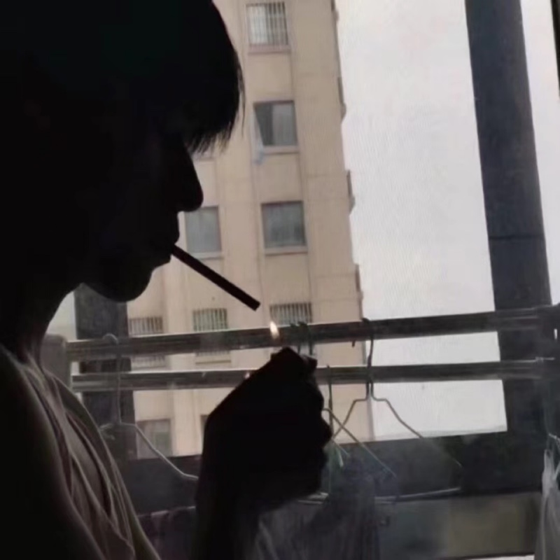 爱吃牛肉丼饭的吐司