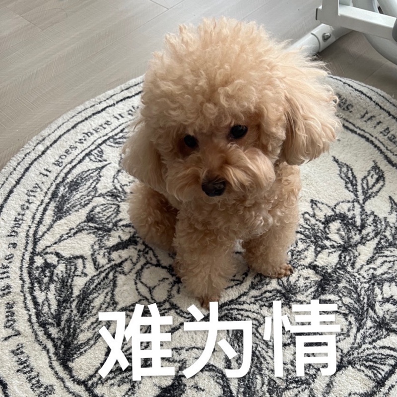 热心市民黄先森