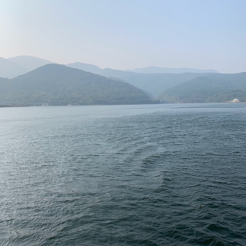 菊花台的淡淡忧伤