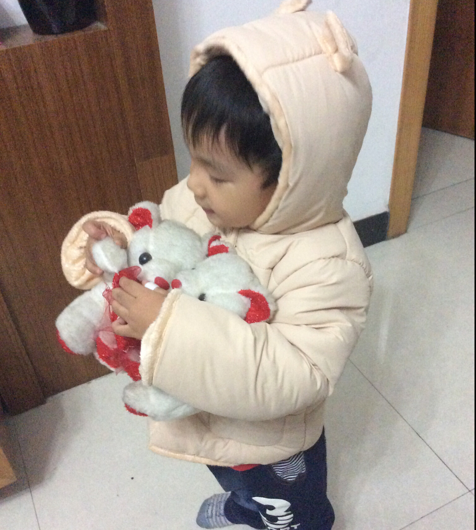 龙龙凤凤的饭饭