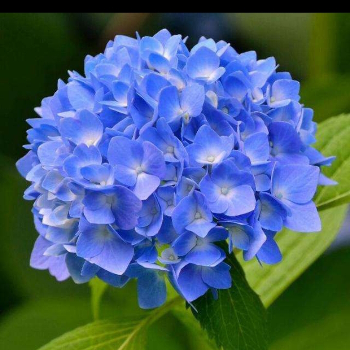 爱吃榨菜蛋汤的辣条