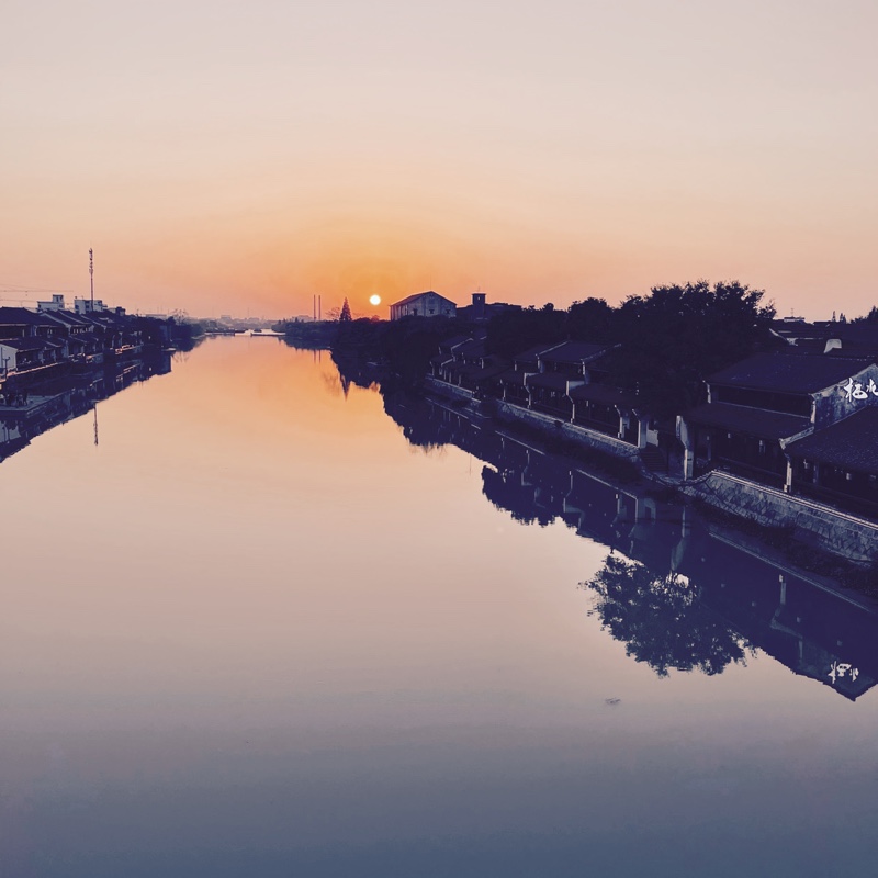 悠悠我心琴518929