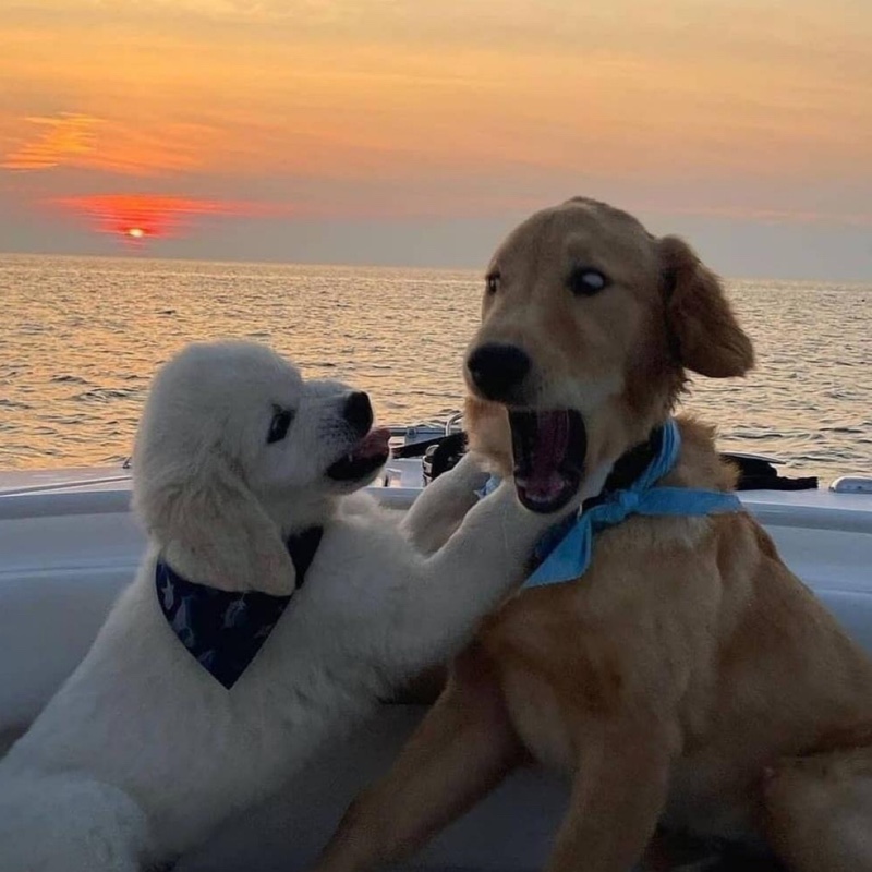 你紫定是有点儿毛病