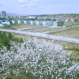 铜锣烧我发来咯哦分享