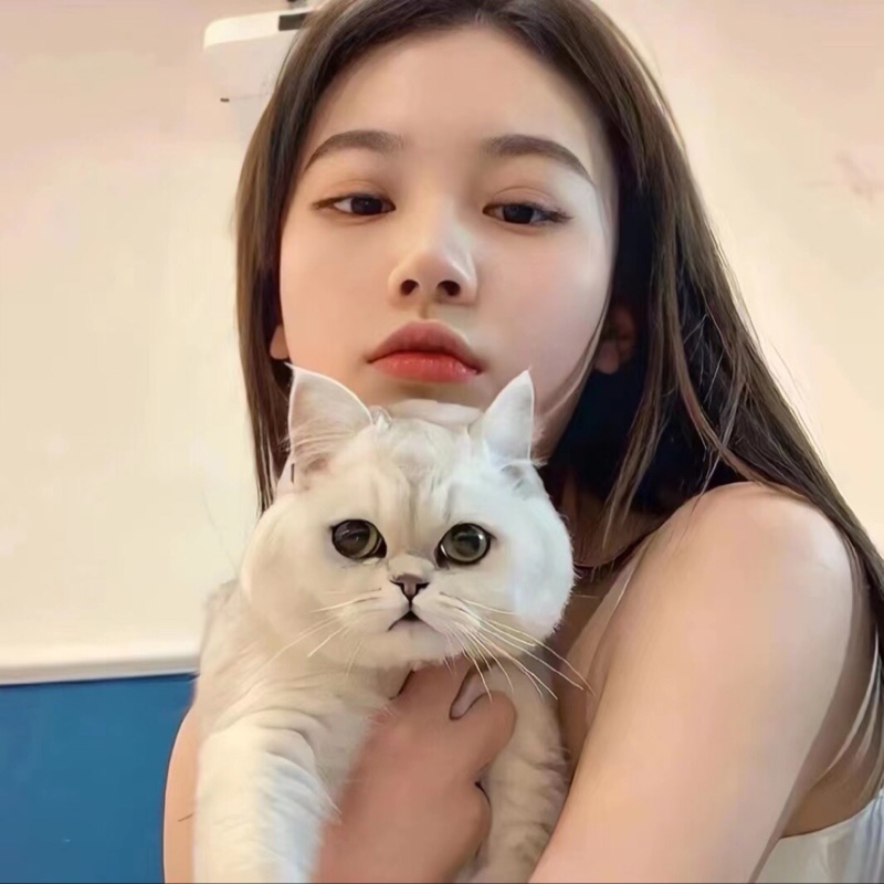 11要好好学物理