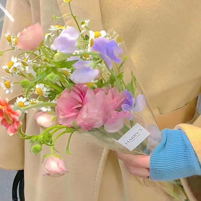 喜欢春天的人:-)