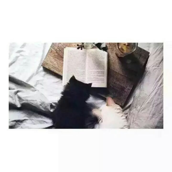 我是卖报的小行jia