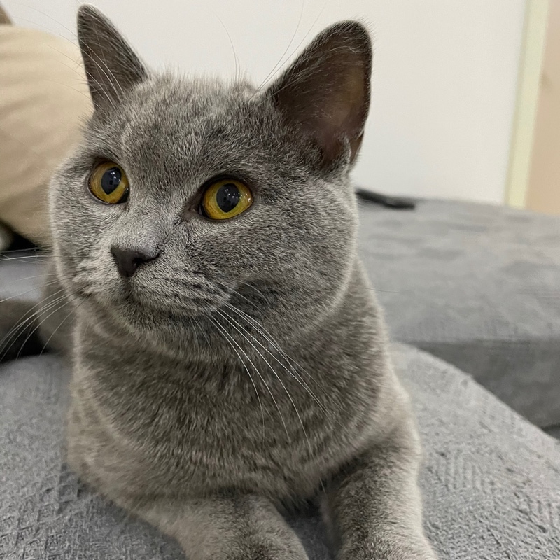 我是职业好评师