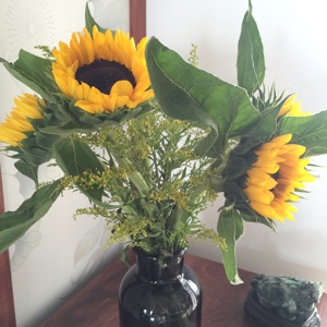 爱茉莉的牵牛花