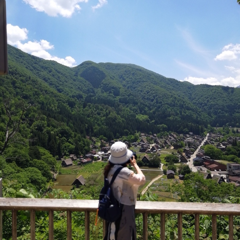 用户_旋转的红葉