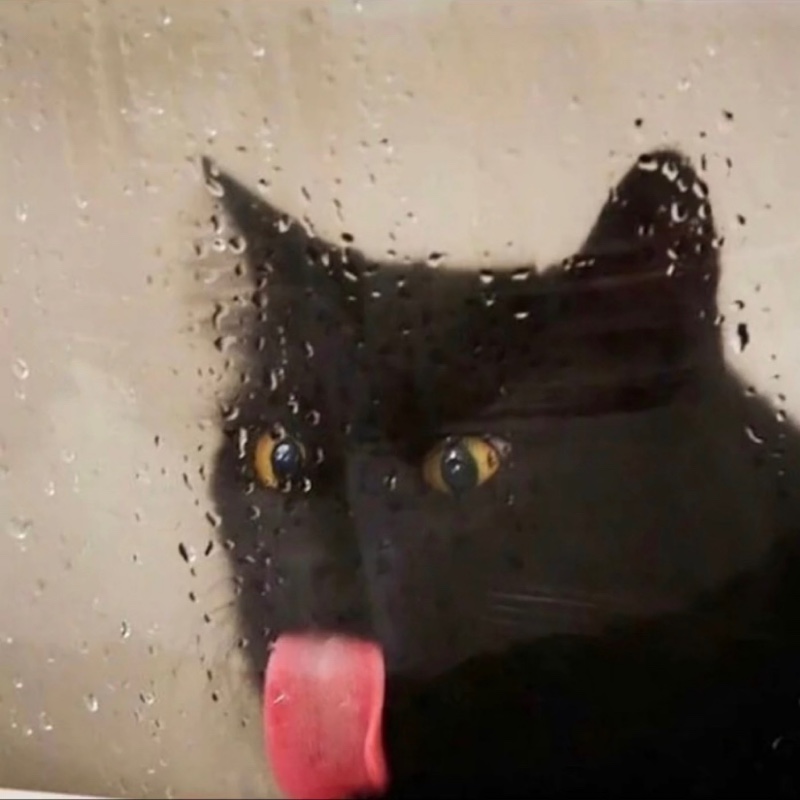 困困困困困困困困