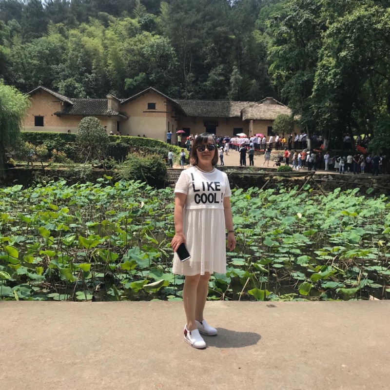 爱吃日式煎蛋的猫九