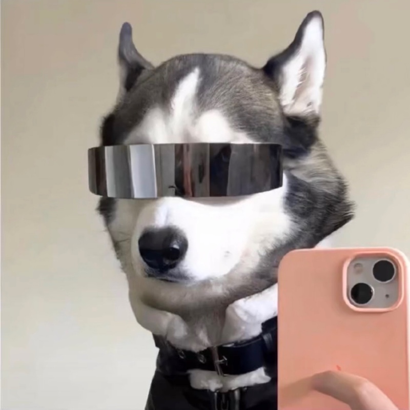 能让少妇回心转意的男