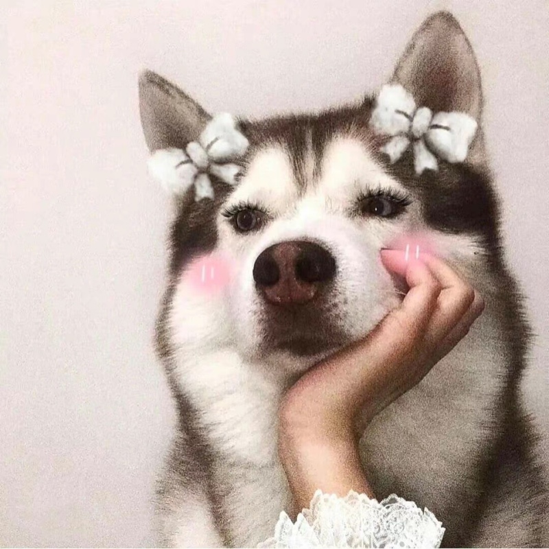 快乐星球呀呀=3=