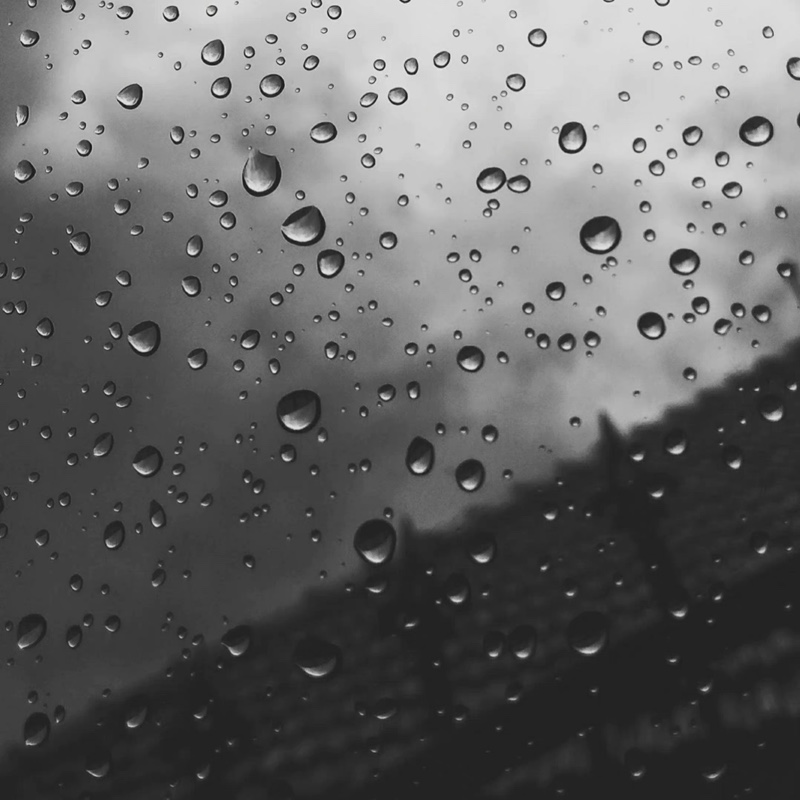 爱吃三丝掐菜的冰红茶