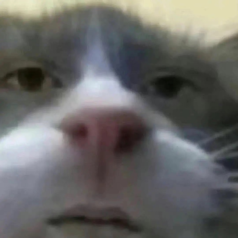 爱吃食物的一名女子