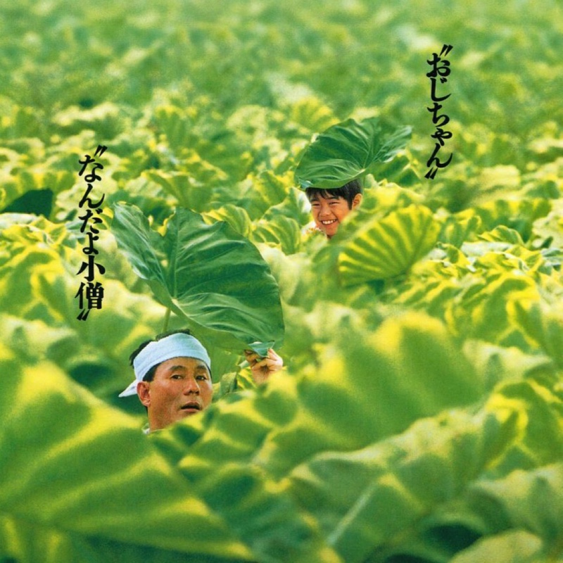 泡泡鱼遇见胖头鱼