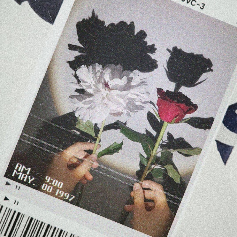 深情却未曾久伴。