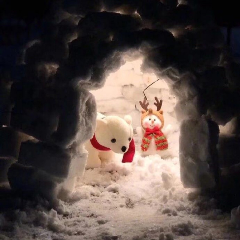 爱吃东北乱炖的天天六六