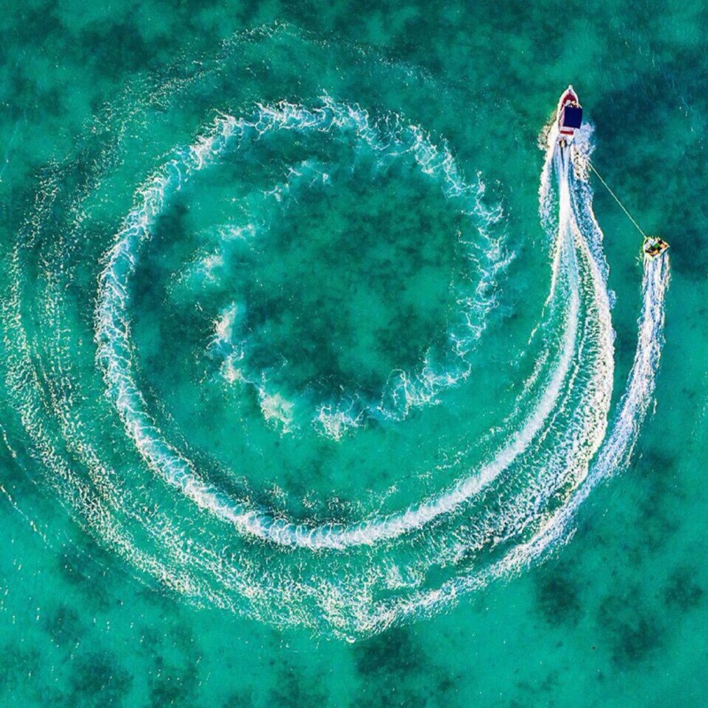 爱吃的小地主=_=