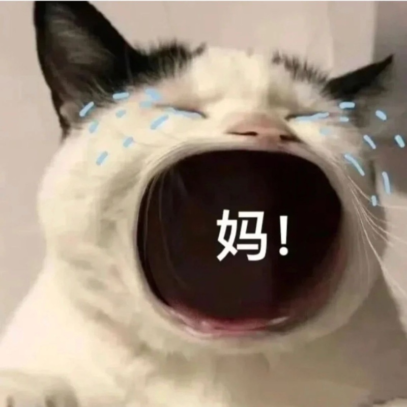 爱吃咸干花生的特工