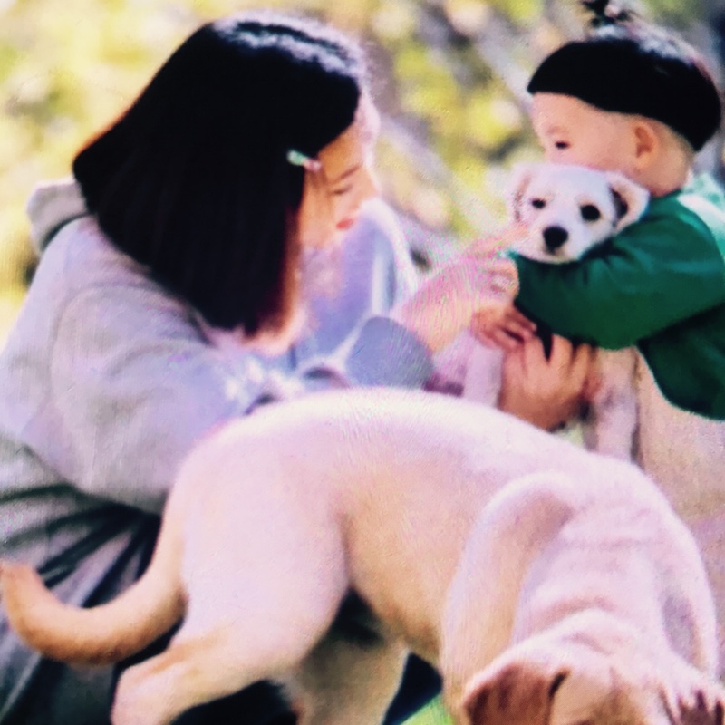 爱吃三杯鸡的巧克力