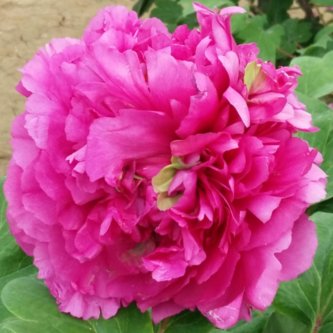 幸福转转转转呀