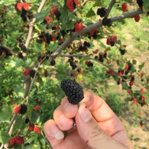 农村人&amp;hellip;应该低调