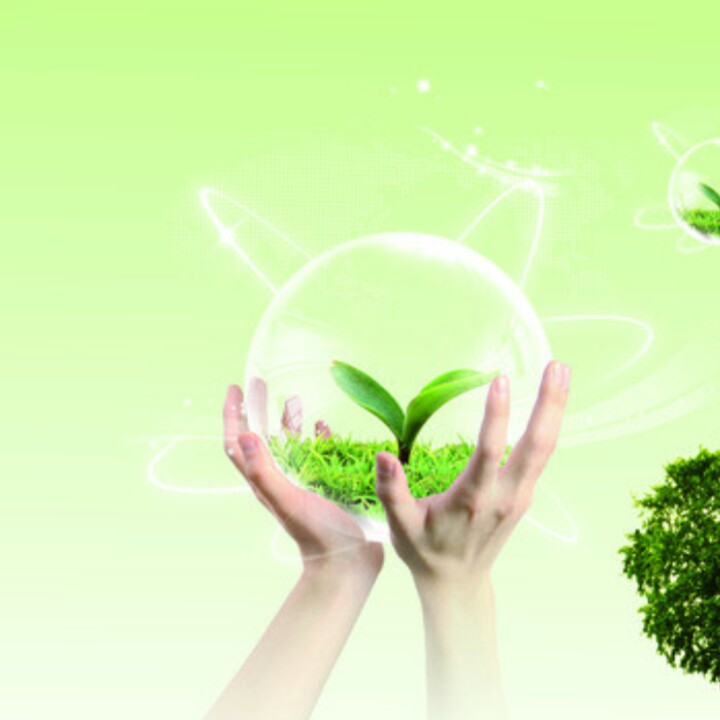 小自然广告公司