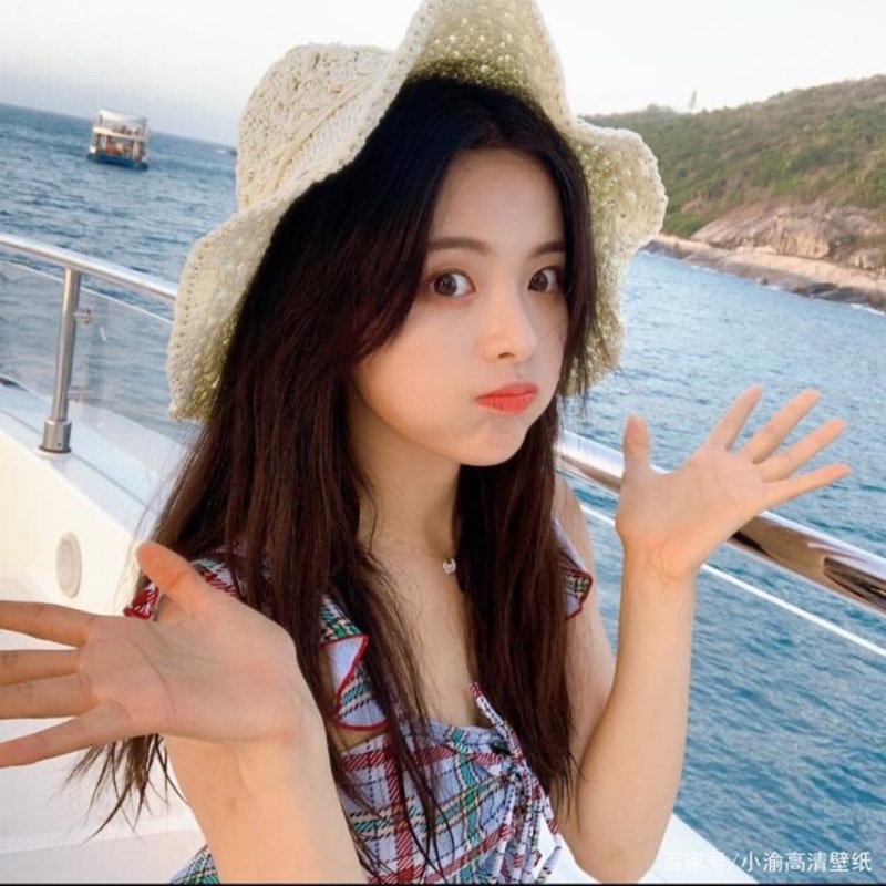 爱吃鱼的小花猫111