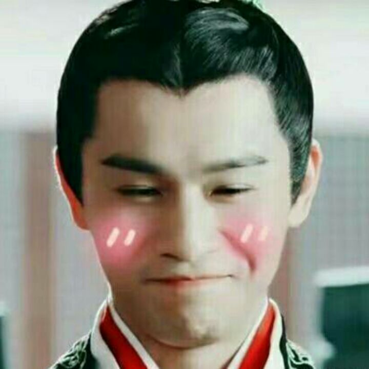 夏有乔木慕着宇