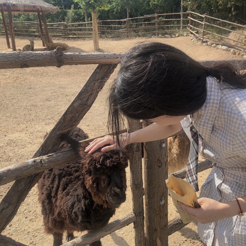 除了buy什么都不会