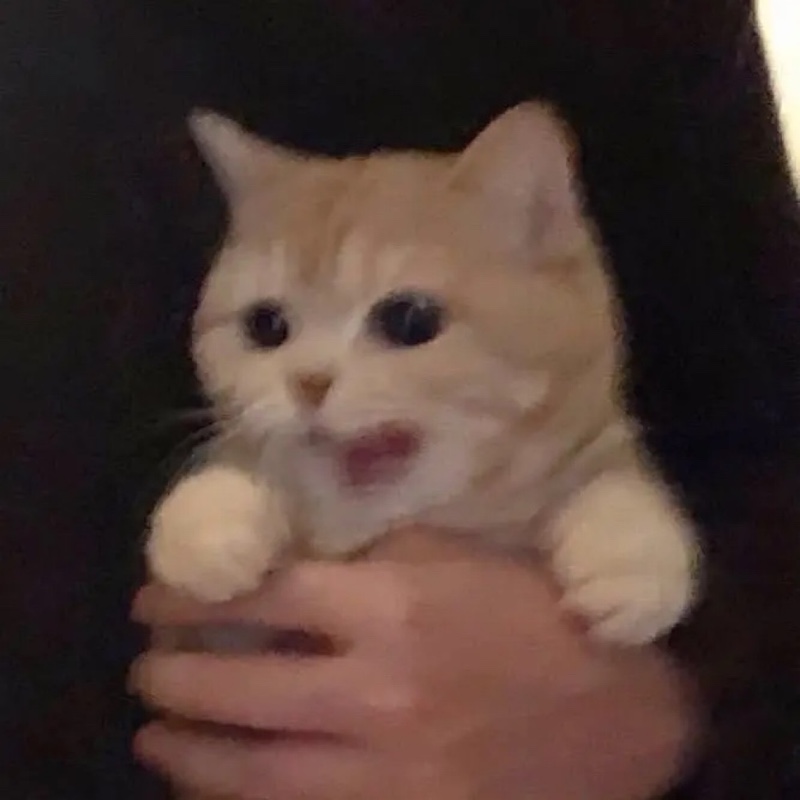 来自遥远的时空