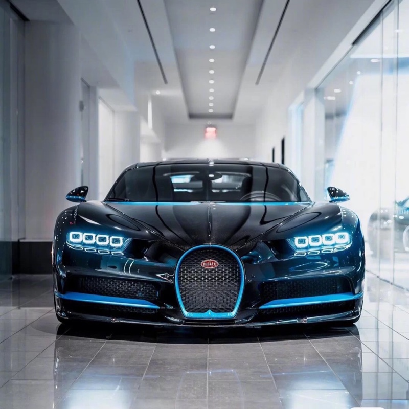 虾将蟹兵八爪鱼